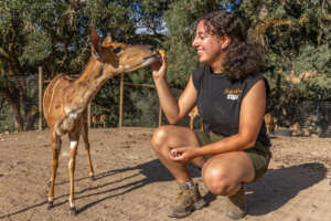 Naz with a Nyala Antelope