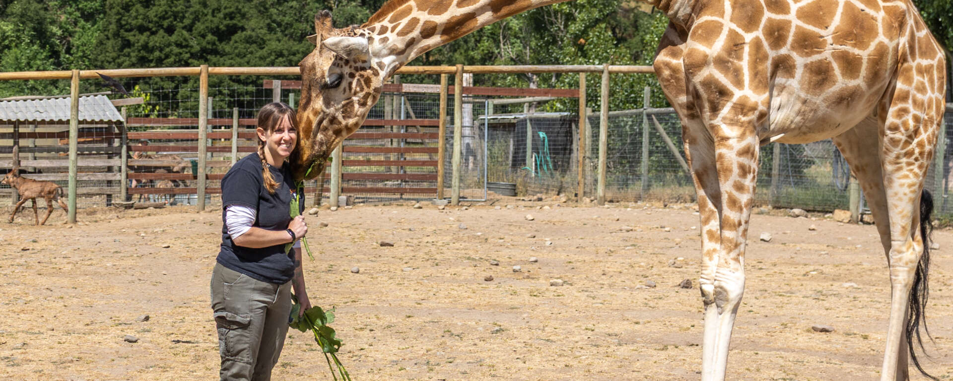 Erika the keeper and Kulula the giraffe