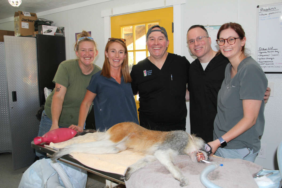 full-team-with-patas-monkey-dental-work