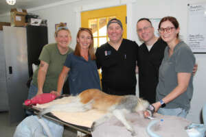 full-team-with-patas-monkey-dental-work