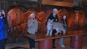 Conservation Talks