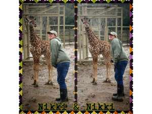 Nikki the keeper and giraffe